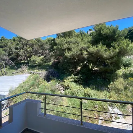 Pine Forest View
